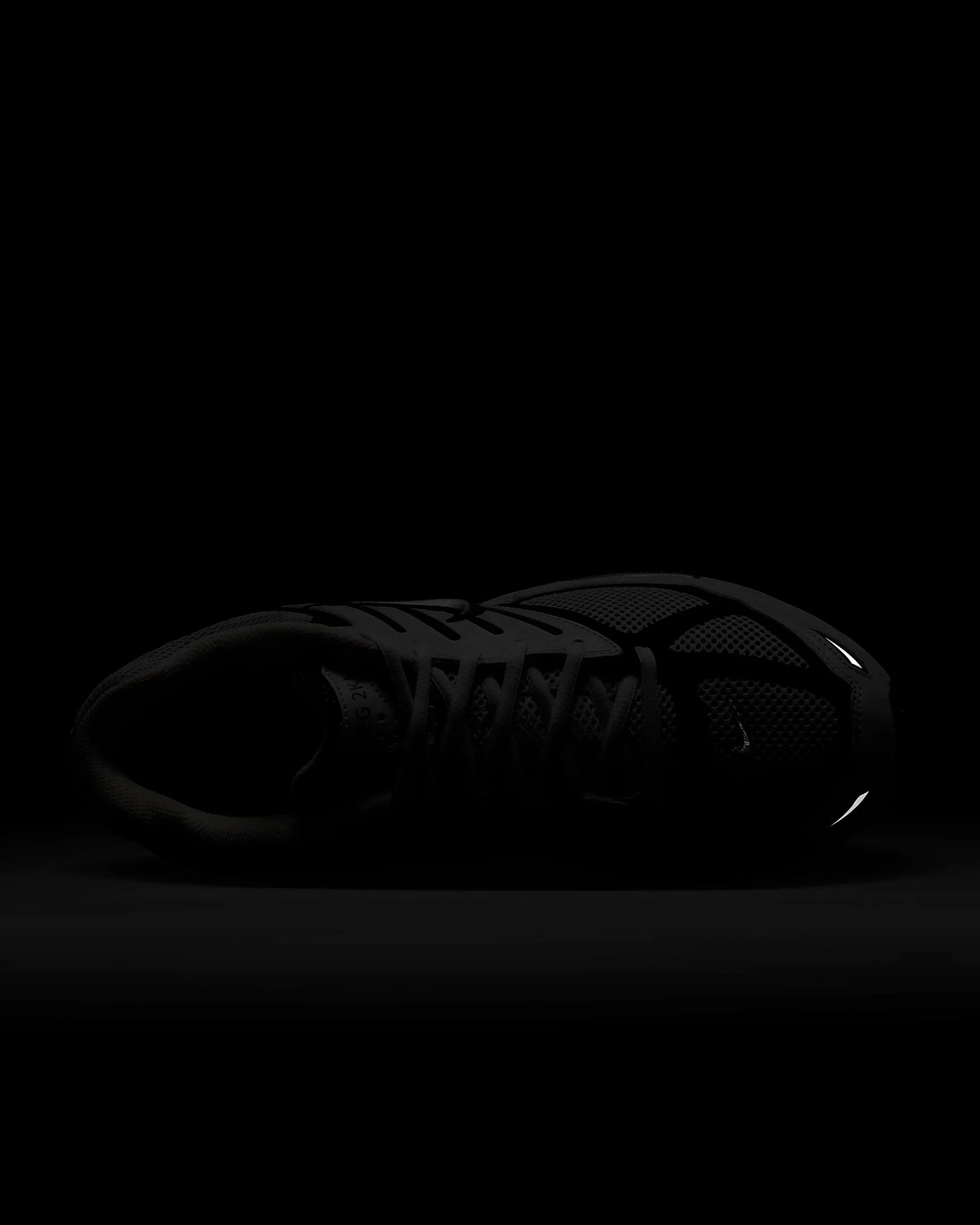 Nike Air Pegasus 2005